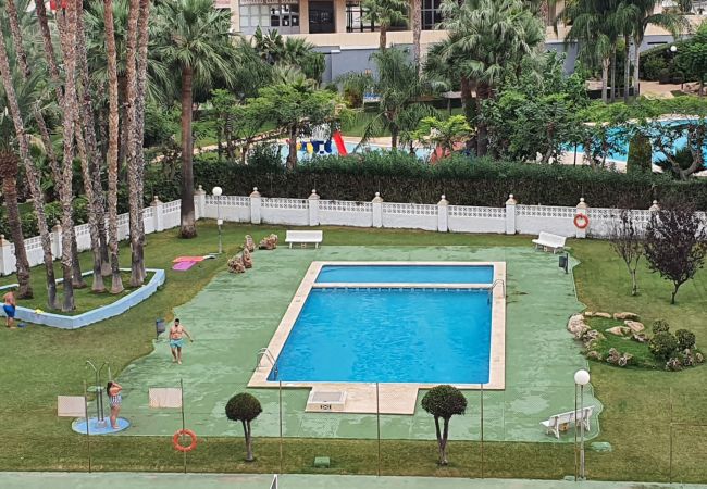 Apartamento en Benidorm - MARISCAL 3  2I (1  DORMITORIO) Apartamento en Benidorm - MARISCAL 3  2I (1  DORMITORIO)