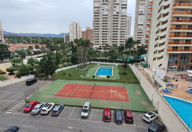 Apartamento en Benidorm - MARISCAL 3  2I (1  DORMITORIO) Apartamento en Benidorm - MARISCAL 3  2I (1  DORMITORIO)