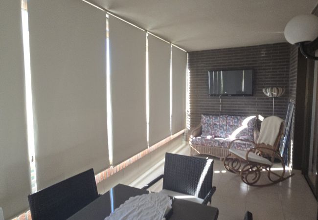Apartamento en Benidorm - CASTELMAR 1C  (1 DORMITORIO) Apartamento en Benidorm - CASTELMAR 1C  (1 DORMITORIO)
