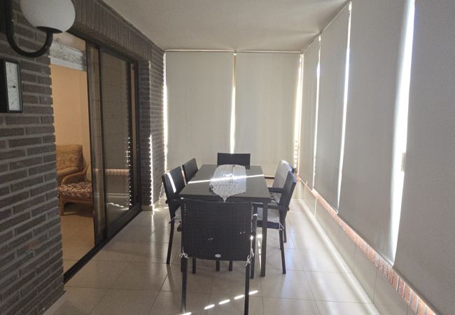 Apartamento en Benidorm - CASTELMAR 1C  (1 DORMITORIO) Apartamento en Benidorm - CASTELMAR 1C  (1 DORMITORIO)