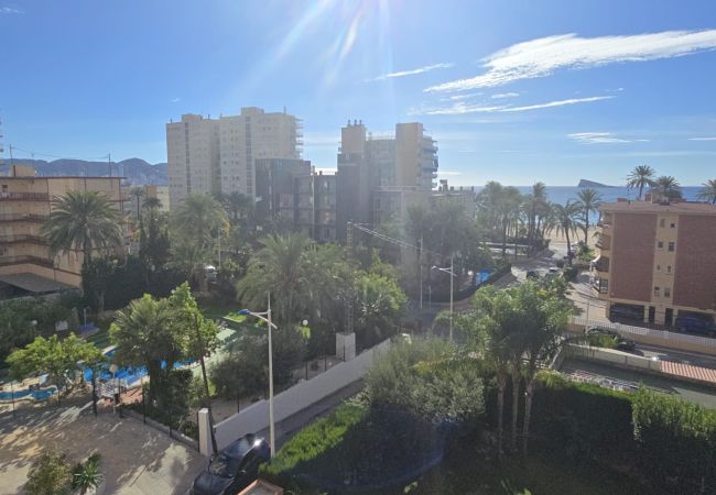 Apartamento en Benidorm - CASTELMAR 1C  (1 DORMITORIO) Apartamento en Benidorm - CASTELMAR 1C  (1 DORMITORIO)