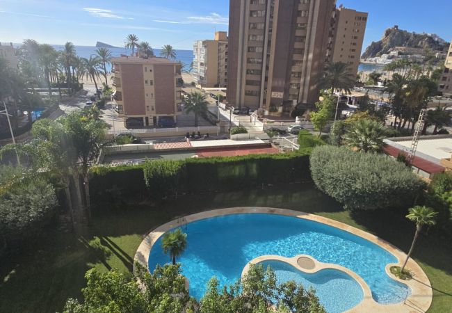 Apartamento en Benidorm - CASTELMAR 1C  (1 DORMITORIO) Apartamento en Benidorm - CASTELMAR 1C  (1 DORMITORIO)