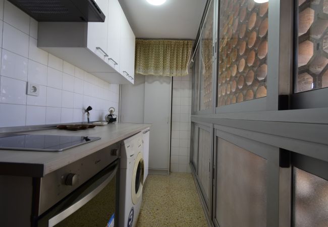 Apartamento en Benidorm - GIRASOL (1 DORMITORIO) Apartamento en Benidorm - GIRASOL (1 DORMITORIO)