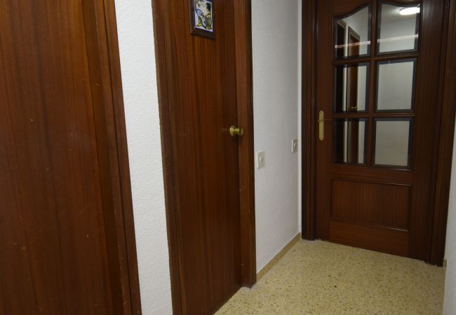 Apartamento en Benidorm - GIRASOL (1 DORMITORIO) Apartamento en Benidorm - GIRASOL (1 DORMITORIO)