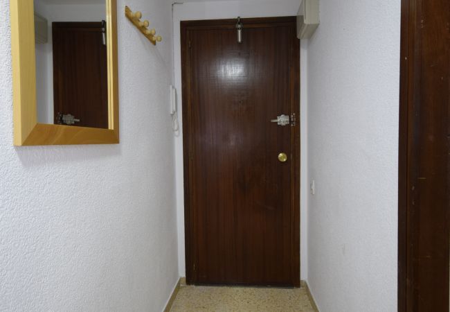 Apartamento en Benidorm - GIRASOL (1 DORMITORIO) Apartamento en Benidorm - GIRASOL (1 DORMITORIO)
