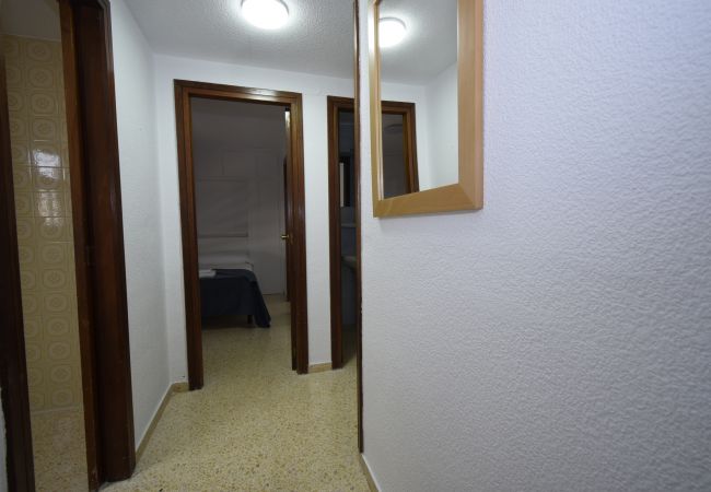 Apartamento en Benidorm - GIRASOL (1 DORMITORIO) Apartamento en Benidorm - GIRASOL (1 DORMITORIO)