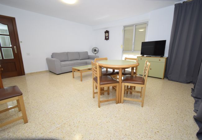 Apartamento en Benidorm - GIRASOL (1 DORMITORIO) Apartamento en Benidorm - GIRASOL (1 DORMITORIO)