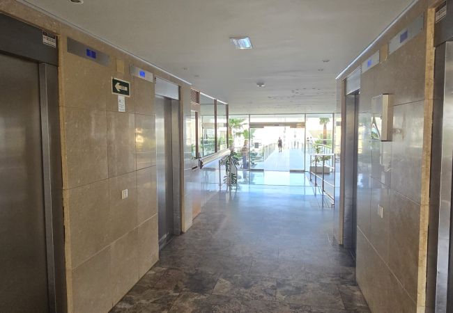 Apartamento en Benidorm - TRINISOL 2 (1 DORMITORIO) Apartamento en Benidorm - TRINISOL 2 (1 DORMITORIO)