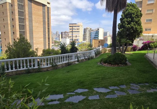 Apartamento en Benidorm - TRINISOL 2 (1 DORMITORIO) Apartamento en Benidorm - TRINISOL 2 (1 DORMITORIO)