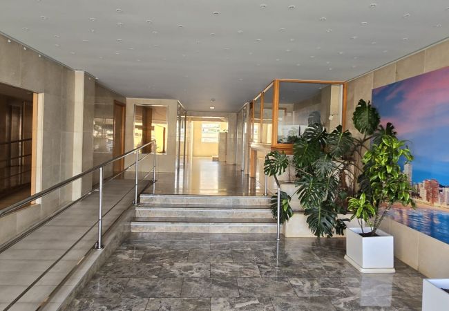 Apartamento en Benidorm - TRINISOL 2 (1 DORMITORIO) Apartamento en Benidorm - TRINISOL 2 (1 DORMITORIO)