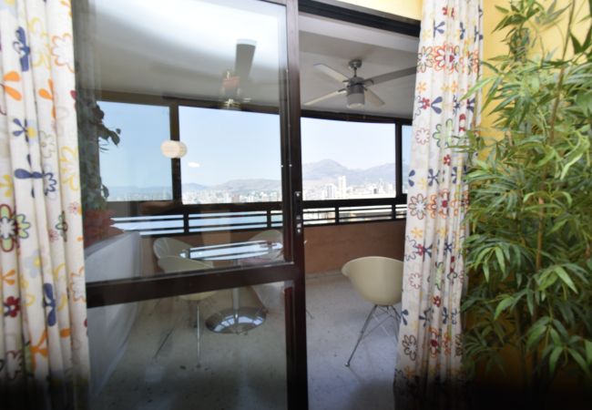 Apartamento en Benidorm - TRINISOL 2 (1 DORMITORIO) Apartamento en Benidorm - TRINISOL 2 (1 DORMITORIO)