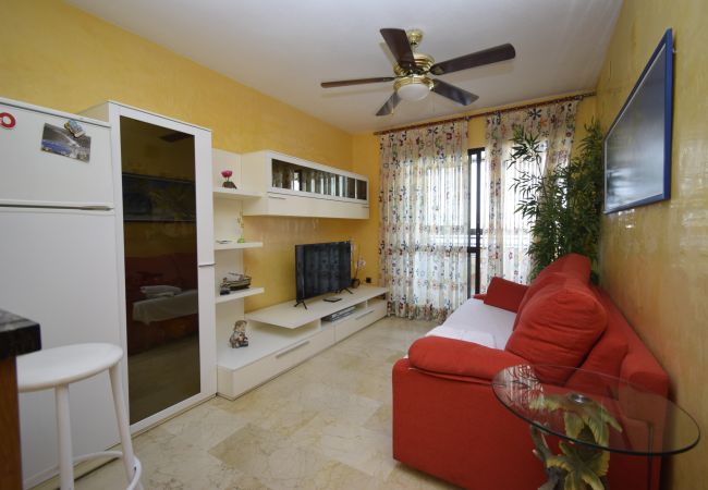 Apartamento en Benidorm - TRINISOL 2 (1 DORMITORIO) Apartamento en Benidorm - TRINISOL 2 (1 DORMITORIO)