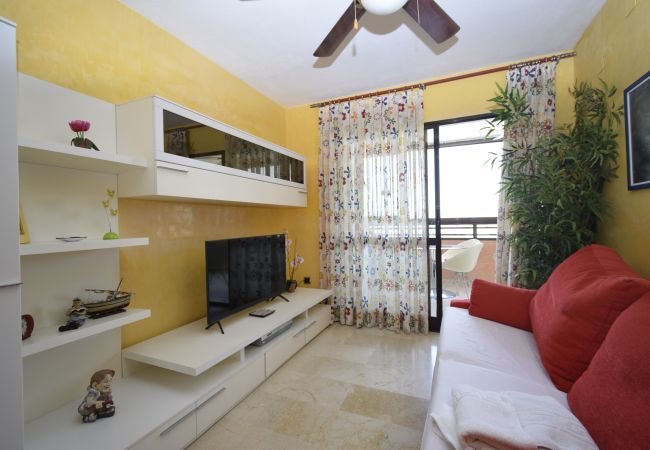 Apartamento en Benidorm - TRINISOL 2 (1 DORMITORIO) Apartamento en Benidorm - TRINISOL 2 (1 DORMITORIO)