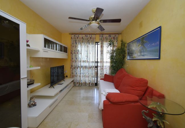 Apartamento en Benidorm - TRINISOL 2 (1 DORMITORIO) Apartamento en Benidorm - TRINISOL 2 (1 DORMITORIO)