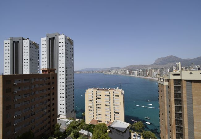 Apartamento en Benidorm - TRINISOL 2 (1 DORMITORIO) Apartamento en Benidorm - TRINISOL 2 (1 DORMITORIO)
