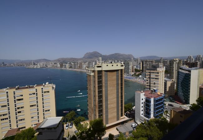 Apartamento en Benidorm - TRINISOL 2 (1 DORMITORIO) Apartamento en Benidorm - TRINISOL 2 (1 DORMITORIO)