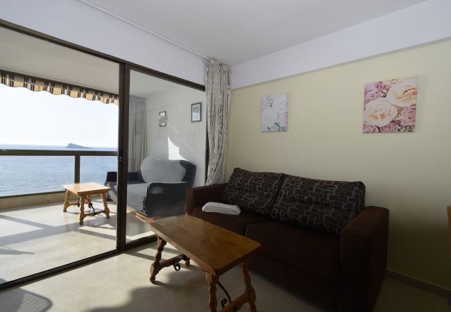 Apartamento en Benidorm - LOS GEMELOS (1 DORMITORIO) Apartamento en Benidorm - LOS GEMELOS (1 DORMITORIO)