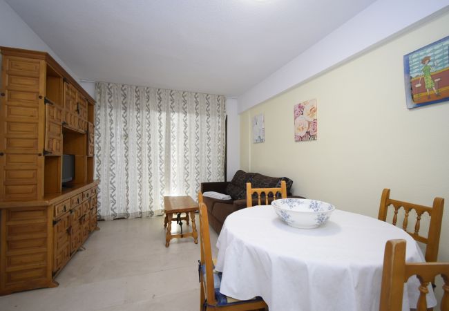 Apartamento en Benidorm - LOS GEMELOS (1 DORMITORIO) Apartamento en Benidorm - LOS GEMELOS (1 DORMITORIO)