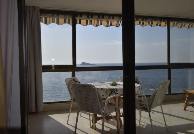 Apartamento en Benidorm - LOS GEMELOS (1 DORMITORIO) Apartamento en Benidorm - LOS GEMELOS (1 DORMITORIO)