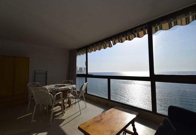 Apartamento en Benidorm - LOS GEMELOS (1 DORMITORIO) Apartamento en Benidorm - LOS GEMELOS (1 DORMITORIO)