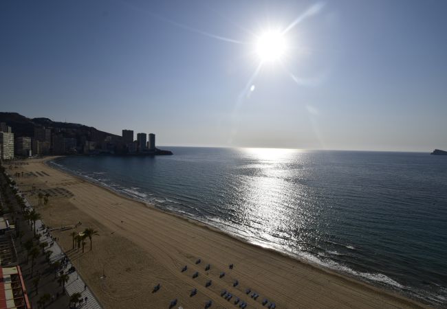 Apartamento en Benidorm - LOS GEMELOS (1 DORMITORIO) Apartamento en Benidorm - LOS GEMELOS (1 DORMITORIO)