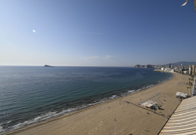 Apartamento en Benidorm - LOS GEMELOS (1 DORMITORIO) Apartamento en Benidorm - LOS GEMELOS (1 DORMITORIO)