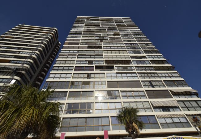Apartamento en Benidorm - LOS GEMELOS (3 DORMITORIOS) Apartamento en Benidorm - LOS GEMELOS (3 DORMITORIOS)