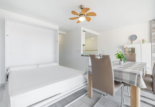 Apartamento en Benidorm - LOIXANA 10-8 (1 DORMITORIO) Levante Beach Apartamento en Benidorm - LOIXANA 10-8 (1 DORMITORIO) Levante Beach