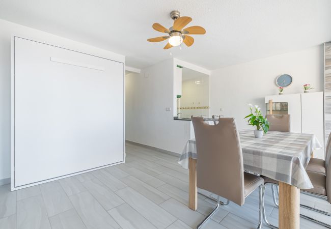 Apartamento en Benidorm - LOIXANA 10-8 (1 DORMITORIO) Levante Beach Apartamento en Benidorm - LOIXANA 10-8 (1 DORMITORIO) Levante Beach