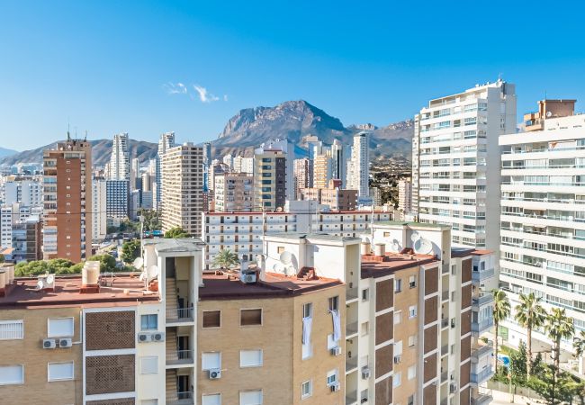 Apartamento en Benidorm - LOIXANA 10-8 (1 DORMITORIO) Levante Beach Apartamento en Benidorm - LOIXANA 10-8 (1 DORMITORIO) Levante Beach