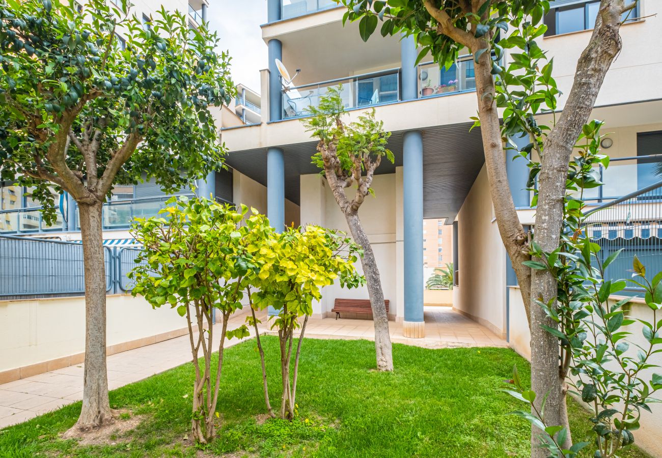 Apartamento en Villajoyosa - TAMARINDO 7F - (2 DORMITORIOS) Playa la Cala beach