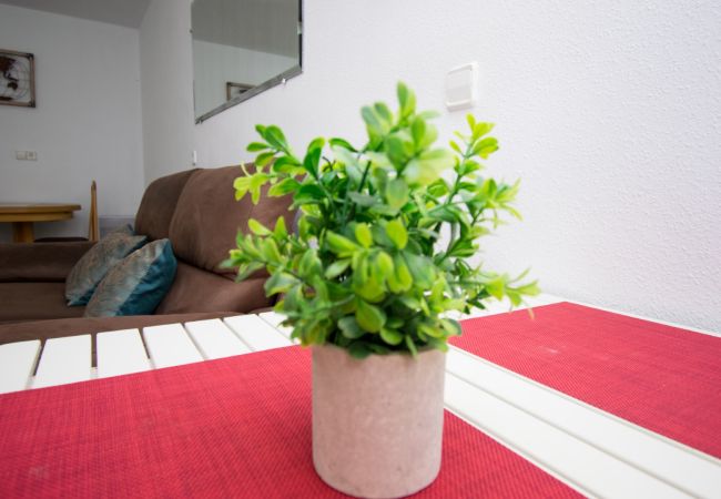 Apartamento en Benidorm - TOMAS ORTUÑO 2C (1 DORMITORIO) Apartamento en Benidorm - TOMAS ORTUÑO 2C (1 DORMITORIO)