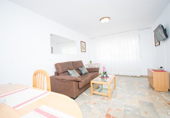 Apartamento en Benidorm - TOMAS ORTUÑO 2C (1 DORMITORIO) Apartamento en Benidorm - TOMAS ORTUÑO 2C (1 DORMITORIO)