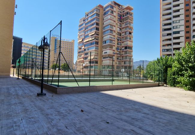 Apartamento en Benidorm - LIDERSOL 14G2 (2 DORMITORIOS) Apartamento en Benidorm - LIDERSOL 14G2 (2 DORMITORIOS)