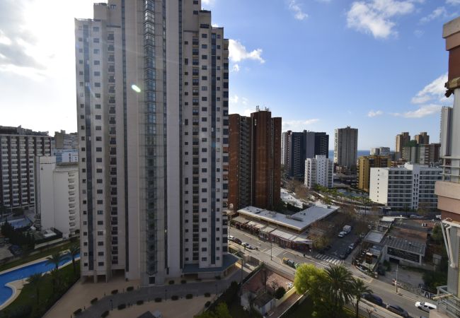 Apartamento en Benidorm - LIDERSOL 14G2 (2 DORMITORIOS) Apartamento en Benidorm - LIDERSOL 14G2 (2 DORMITORIOS)