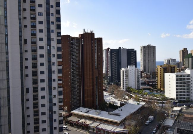 Apartamento en Benidorm - LIDERSOL 14G2 (2 DORMITORIOS) Apartamento en Benidorm - LIDERSOL 14G2 (2 DORMITORIOS)