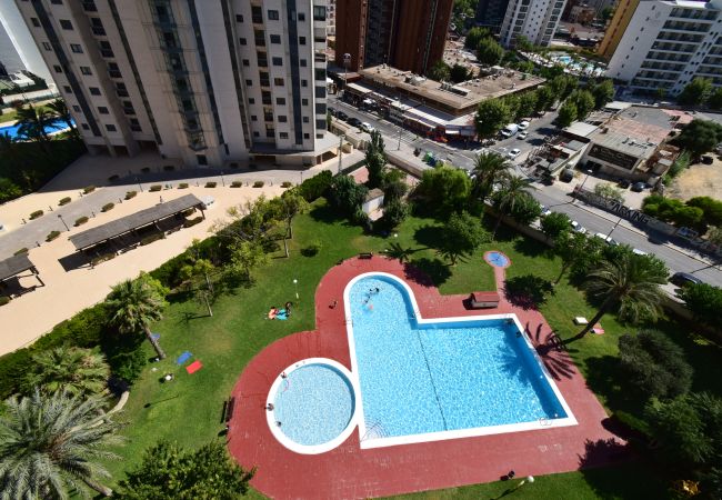 Apartamento en Benidorm - LIDERSOL 14G2 (2 DORMITORIOS) Apartamento en Benidorm - LIDERSOL 14G2 (2 DORMITORIOS)