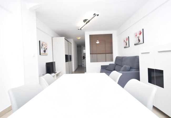 Estudio en Benidorm - CABALLOS 2D (ESTUDIO) Estudio en Benidorm - CABALLOS 2D (ESTUDIO)
