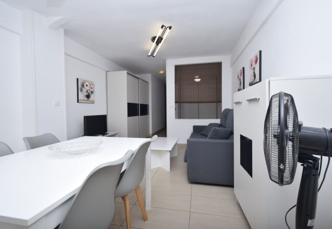Estudio en Benidorm - CABALLOS 2D (ESTUDIO) Estudio en Benidorm - CABALLOS 2D (ESTUDIO)