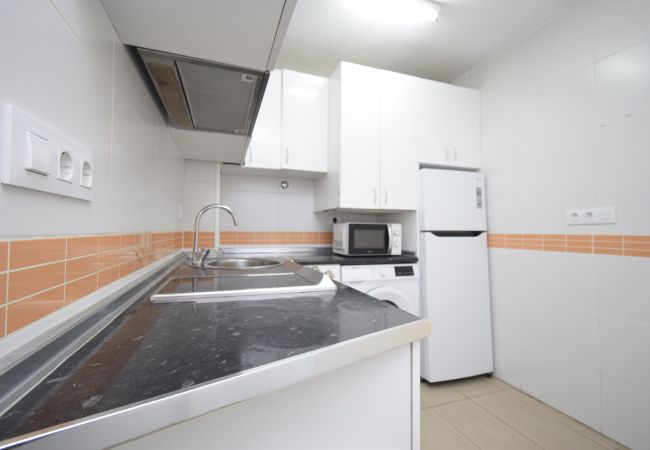 Estudio en Benidorm - CABALLOS 2D (ESTUDIO) Estudio en Benidorm - CABALLOS 2D (ESTUDIO)