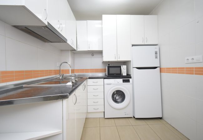 Estudio en Benidorm - CABALLOS 2D (ESTUDIO) Estudio en Benidorm - CABALLOS 2D (ESTUDIO)