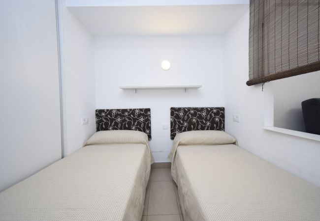 Estudio en Benidorm - CABALLOS 2D (ESTUDIO) Estudio en Benidorm - CABALLOS 2D (ESTUDIO)