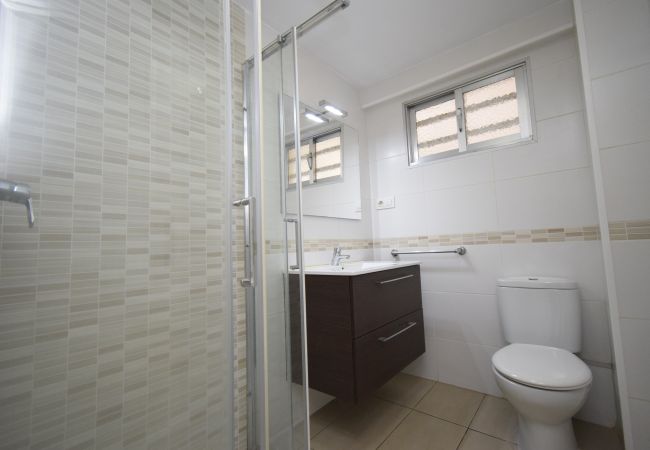 Estudio en Benidorm - CABALLOS 2D (ESTUDIO) Estudio en Benidorm - CABALLOS 2D (ESTUDIO)