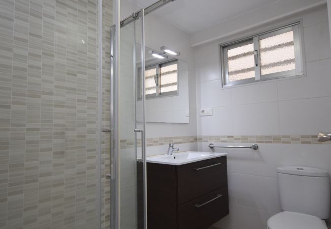 Estudio en Benidorm - CABALLOS 2D (ESTUDIO) Estudio en Benidorm - CABALLOS 2D (ESTUDIO)