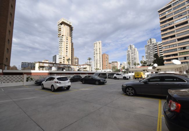 Estudio en Benidorm - CABALLOS 2D (ESTUDIO) Estudio en Benidorm - CABALLOS 2D (ESTUDIO)