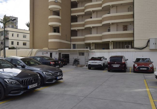 Estudio en Benidorm - CABALLOS 2D (ESTUDIO) Estudio en Benidorm - CABALLOS 2D (ESTUDIO)