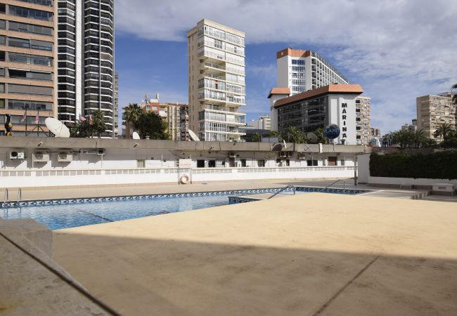 Estudio en Benidorm - CABALLOS 2D (ESTUDIO) Estudio en Benidorm - CABALLOS 2D (ESTUDIO)