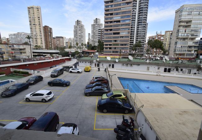 Estudio en Benidorm - CABALLOS 2D (ESTUDIO) Estudio en Benidorm - CABALLOS 2D (ESTUDIO)