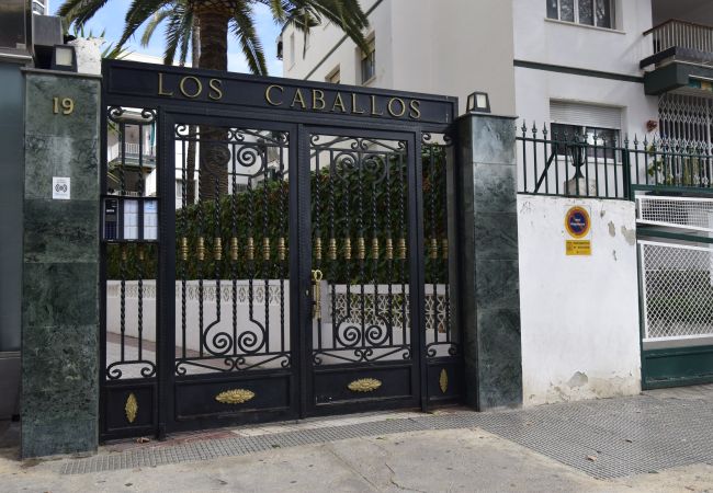 Estudio en Benidorm - CABALLOS 2D (ESTUDIO) Estudio en Benidorm - CABALLOS 2D (ESTUDIO)