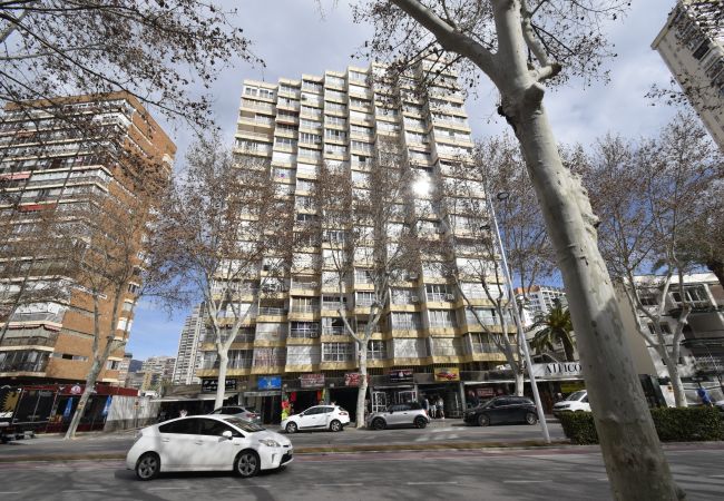 Estudio en Benidorm - CABALLOS 2D (ESTUDIO) Estudio en Benidorm - CABALLOS 2D (ESTUDIO)
